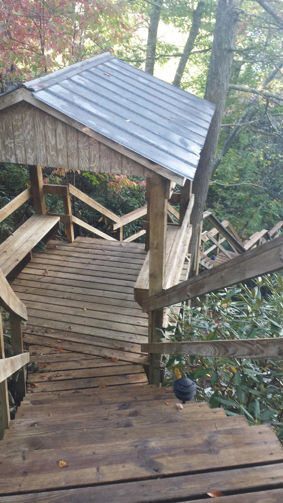 Metal roofed shelter over wooden steps on a wooded walkway — Skylight Repair & Installation work by our crew in Russellville